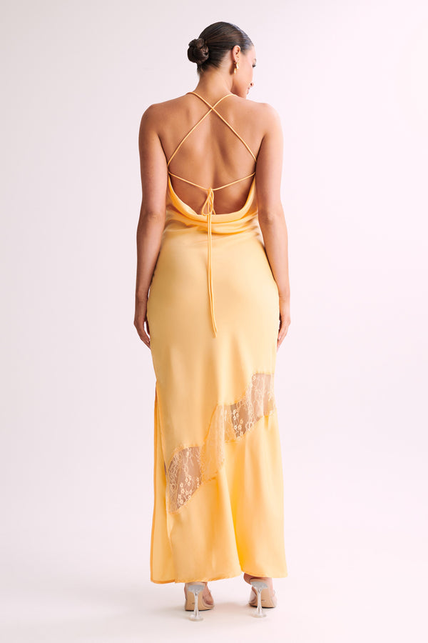 Leah's Dress